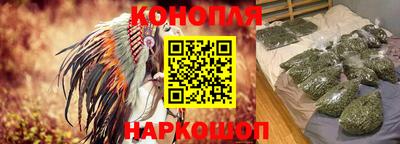 молекула духа Шебекино