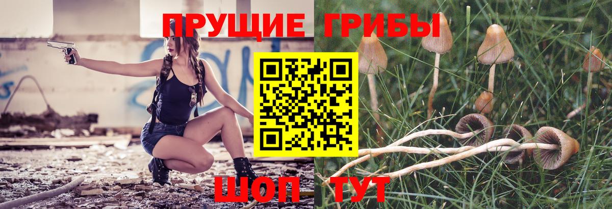 Псилоцибиновые грибы Psilocybe  Вход с VPN  Донской 