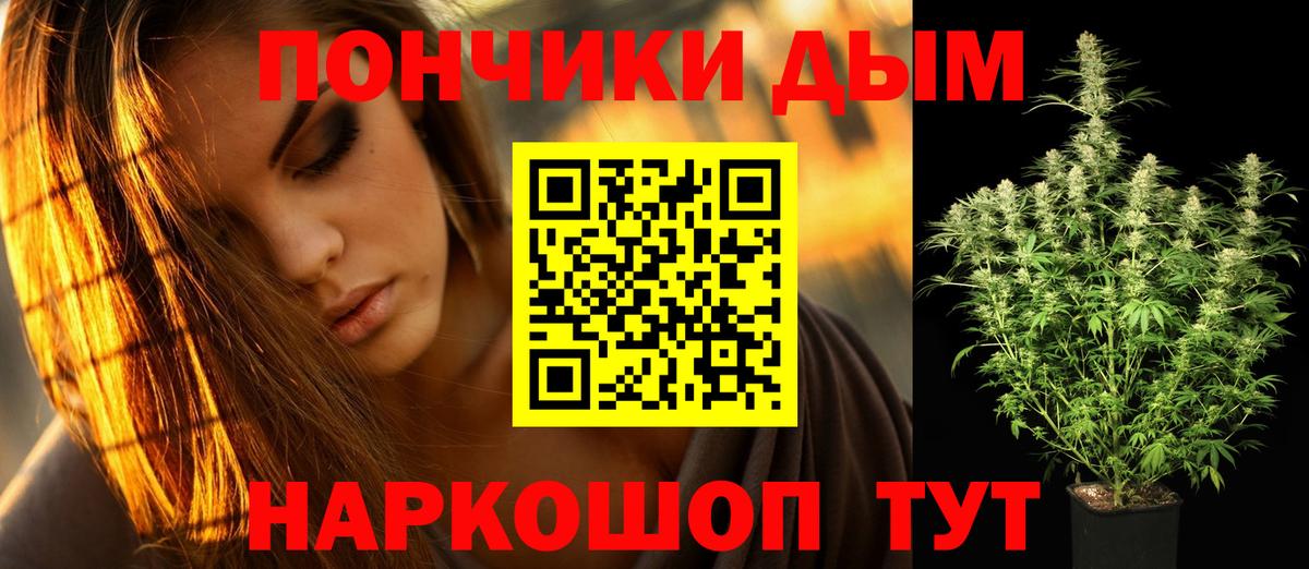 Конопля сатива Донской