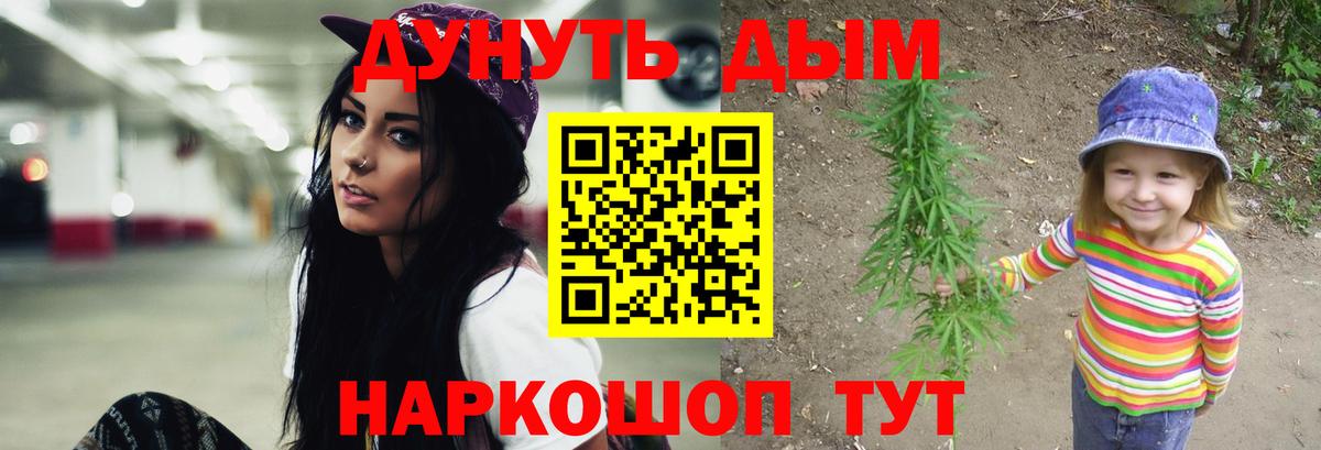 Конопля конопля  Марихуана план  Донской  Вход с VPN 